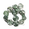 Natural Green Spot Jasper Beads Strands G-Z061-B08-02-3