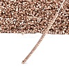 MIYUKI Delica Beads X-SEED-J020-DB2504-4
