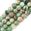 Natural Green Line Jasper  Graduated Beads Strands G-F830-A01-01-2