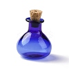 Miniature Glass Bottles GLAA-H019-03C-1