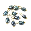 10Pcs Dyed Natural Cultured Freshwater Pearl Two Sides Polished Charms PALLOY-YW00075-04-1
