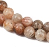 Natural Arusha Sunstone Beads Strands G-P488-04B-3