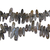 Natural Labradorite Chips Beads Strands X-G416-A4-1