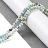 Natural Howlite Beads Strands G-H025-03C-09-2