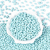 Baking Paint Glass Seed Beads SEED-T007-15L-1