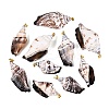 Brass & Natural Spiral Shell Big Pendants SHEL-Q029-29KCG-1