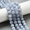 Dyed Natural Malaysia Jade Beads Strands G-G021-02B-22-4