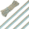 12.5M Polyester Twist Lip Cord Trim OCOR-WH0120-07-1