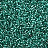 11/0 Grade A Transparent Glass Seed Beads X-SEED-Q007-F50-2