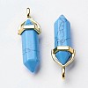 Synthetic Turquoise Double Terminated Pointed Pendants G-G902-C03-4