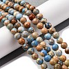 Dyed Natural Regalite/Imperial Jasper/Sea Sediment Jasper Beads Strands X-G-B124-C02-15-2