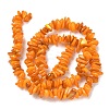 Natural Freshwater Shell Beads Strands BSHE-I016-01I-4