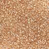 MIYUKI Round Rocailles Beads SEED-X0055-RR0234-2