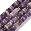 Natural Amethyst Beads Strands G-G084-A12-01-1