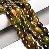Natural Agate Beads Strands G-B079-E01-01F-1