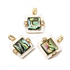 Brass Cubic Zirconia & Paua Shell Pendants KK-G553-01C-G-1