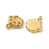 304 Stainless Steel Charms STAS-I203-39G-2