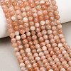Round Natural Multi-Moonstone Beads Strands G-I176-09-6mm-9
