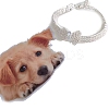 Adjustable 3-Row Brass Micro Pave Cubic Zirconia Cup Chain Pet Collars PW-WG63250-02-1