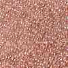 TOHO 11/0 Round Beads SEED-TR11-0631-2