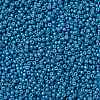 MIYUKI Round Rocailles Beads SEED-X0055-RR4485-2