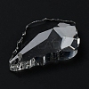 Transparent Glass Pendants GLAA-R223-16-3