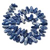Natural Kyanite Beads Strands G-L649-A01-01-3