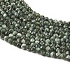 Natural Seraphinite Beads Strands G-K376-A02-4mm-4