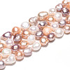 Natural Cultured Freshwater Pearl Beads Strands PEAR-N014-09A-01-5