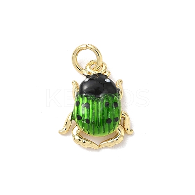 Insect Themes Brass Enamel Charms KK-B155-01B-02G-1