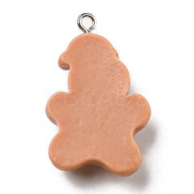 Opaque Resin Pendants CRES-D010-02J-1