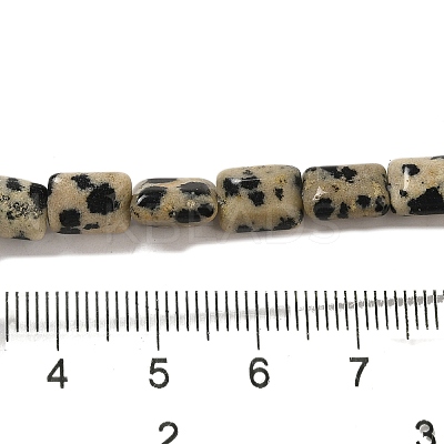 Natural Dalmatian Jasper Beads Strands G-G085-A13-01-1