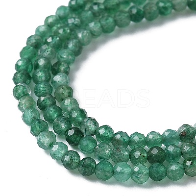 Natural Fuchsite Beads Strands G-C009-A27-01-1