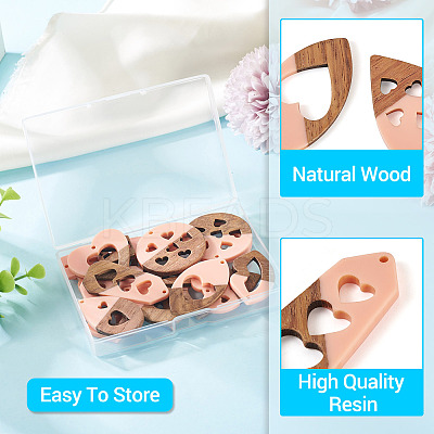 20Pcs 10 Styles Resin and Walnut Pendants WOOD-TA0002-73A-1