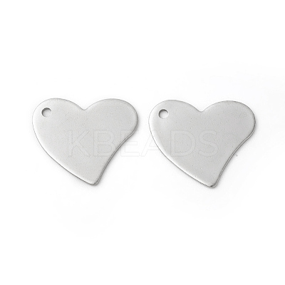 Tarnish Resistant 304 Stainless Steel Pendants STAS-F192-047P-1