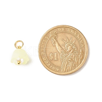 Transparent Acrylic Charms PALLOY-JF01604-01-1