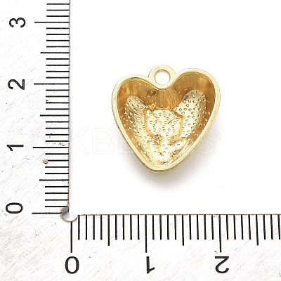 Alloy Enamel Pendants LS-ENAM-F151-01G-05-1