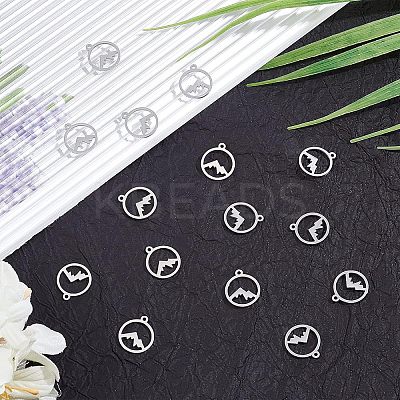 30Pcs 201 Stainless Steel Charms STAS-UN0034-41-1