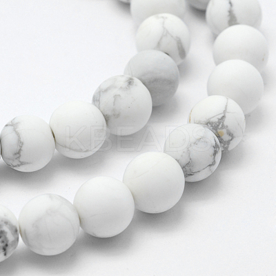 Natural Howlite Beads Strands X-G-F518-22-8mm-1