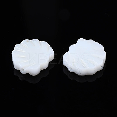 Natural Freshwater Shell Beads SHEL-S278-034-1