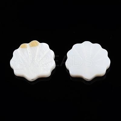 Natural Freshwater Shell Beads X-SHEL-T007-02-1