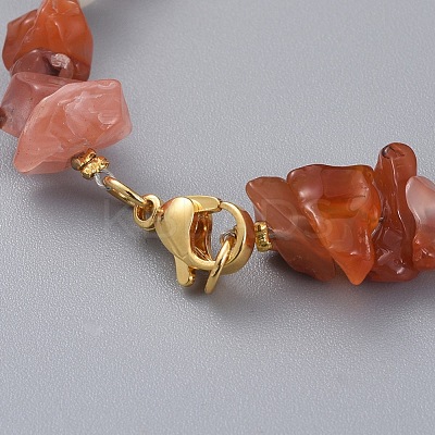 Natural Red Agate/Carnelian Chip Beaded Bracelets BJEW-JB04933-05-1
