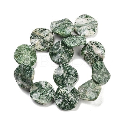 Natural Green Spot Jasper Beads Strands G-Z061-B08-02-1