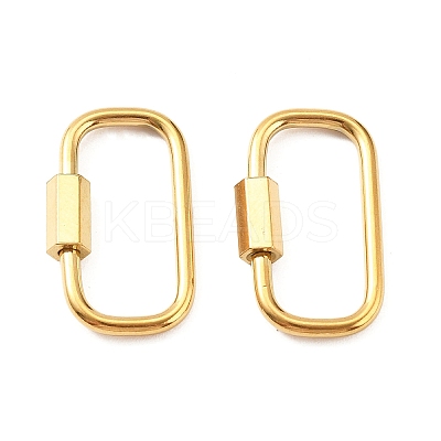 304 Stainless Steel Locking Carabiner STAS-C092-05H-G-1