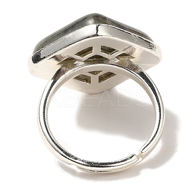 Natural Labradorite Adjustable Rings RJEW-H240-01S-13-1
