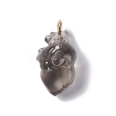 Transparent Resin Pendants RESI-E028-01G-02-1