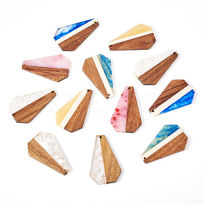 12Pcs 6 Colors Opaque Resin & Walnut Pendants RESI-TA0003-41-1