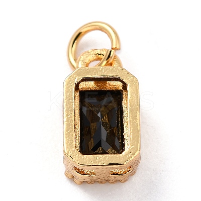 Real 18K Gold Plated Brass Inlaid Cubic Zirconia Charms LS-ZIRC-L100-075G-07-1