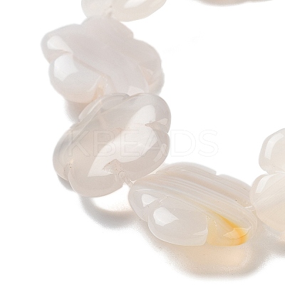 Natural White Agate Beads Strands G-F769-G01-02-1