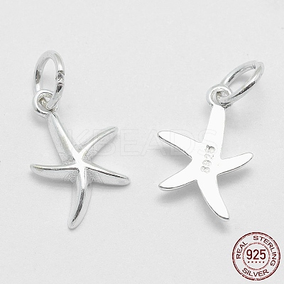 925 Sterling Silver Pendants STER-K170-03S-1